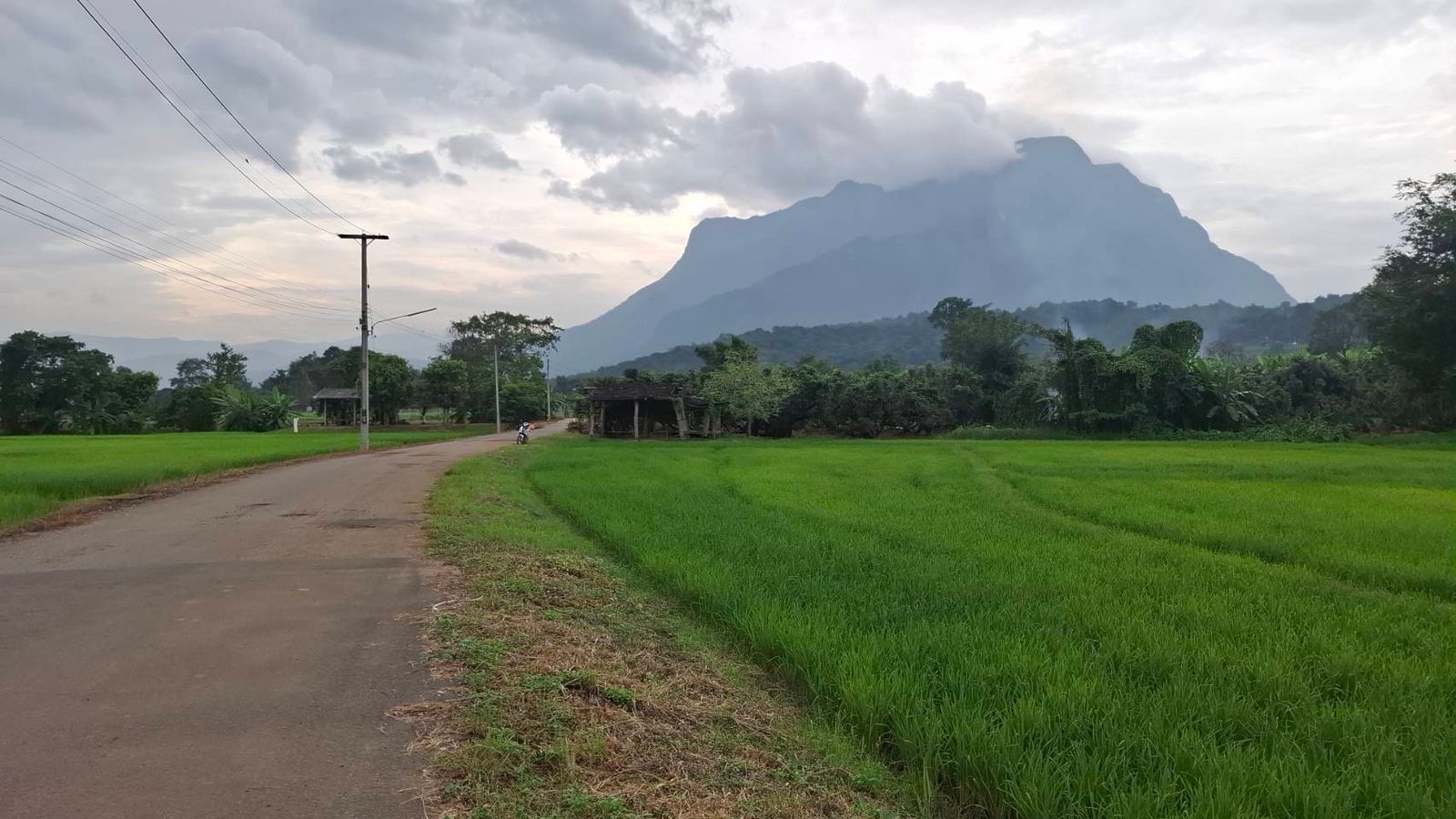 รูปภาพสินค้า