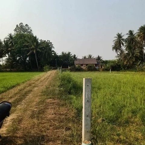 รูปภาพสินค้า