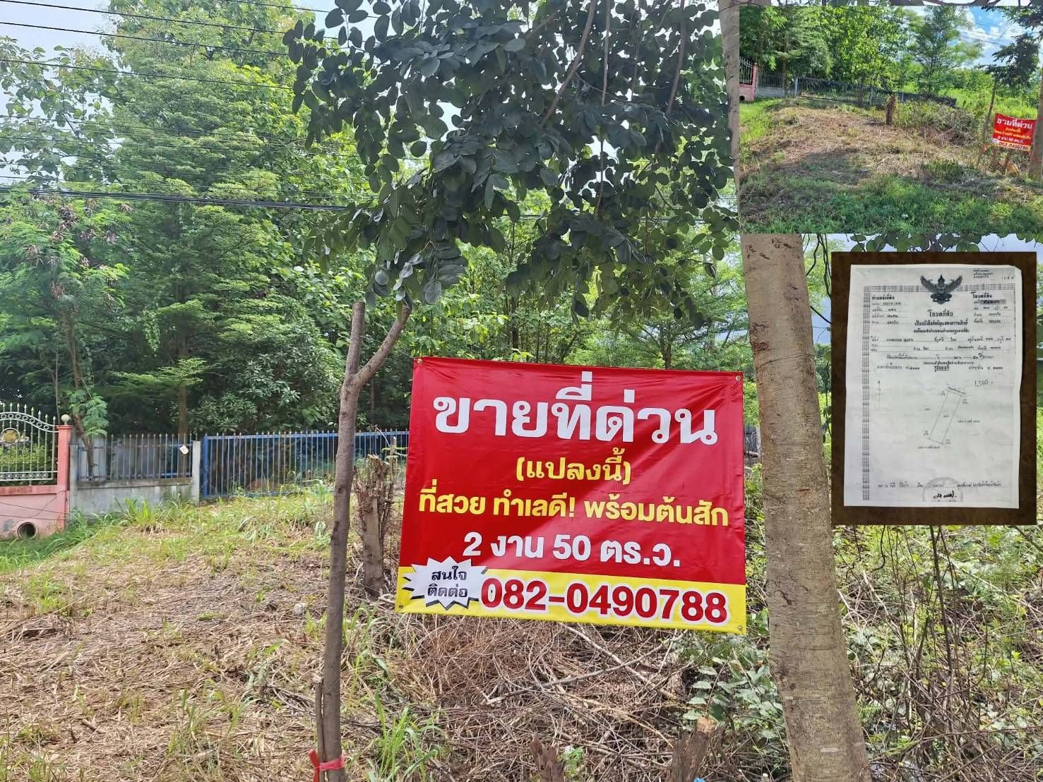 รูปภาพสินค้า