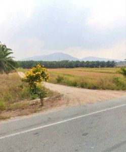 รูปภาพสินค้า