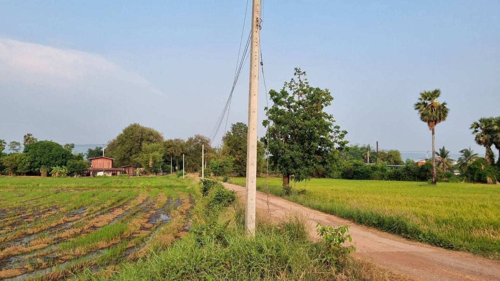 รูปภาพสินค้า