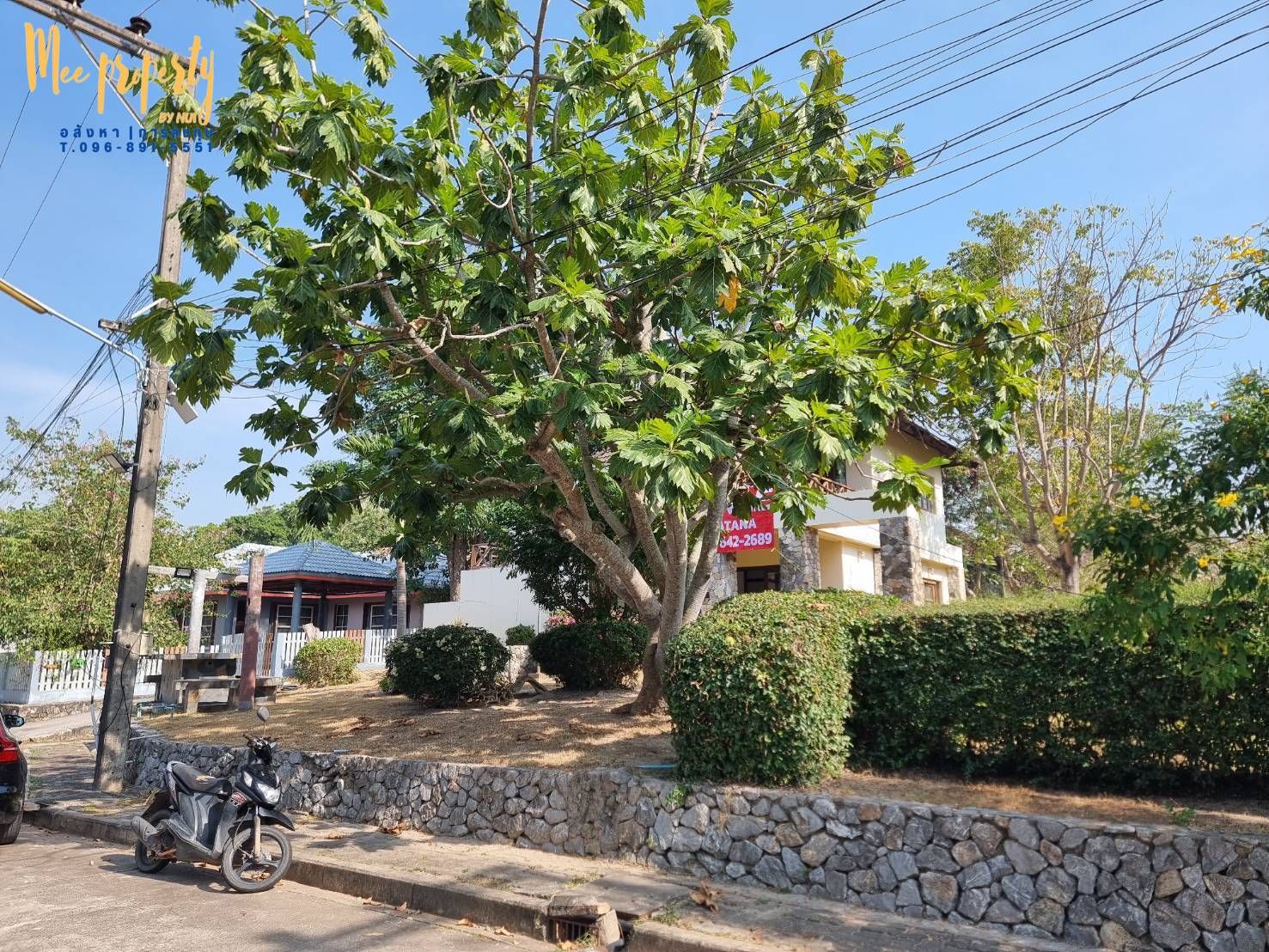 รูปภาพสินค้า