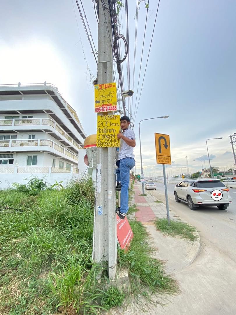 รูปภาพสินค้า