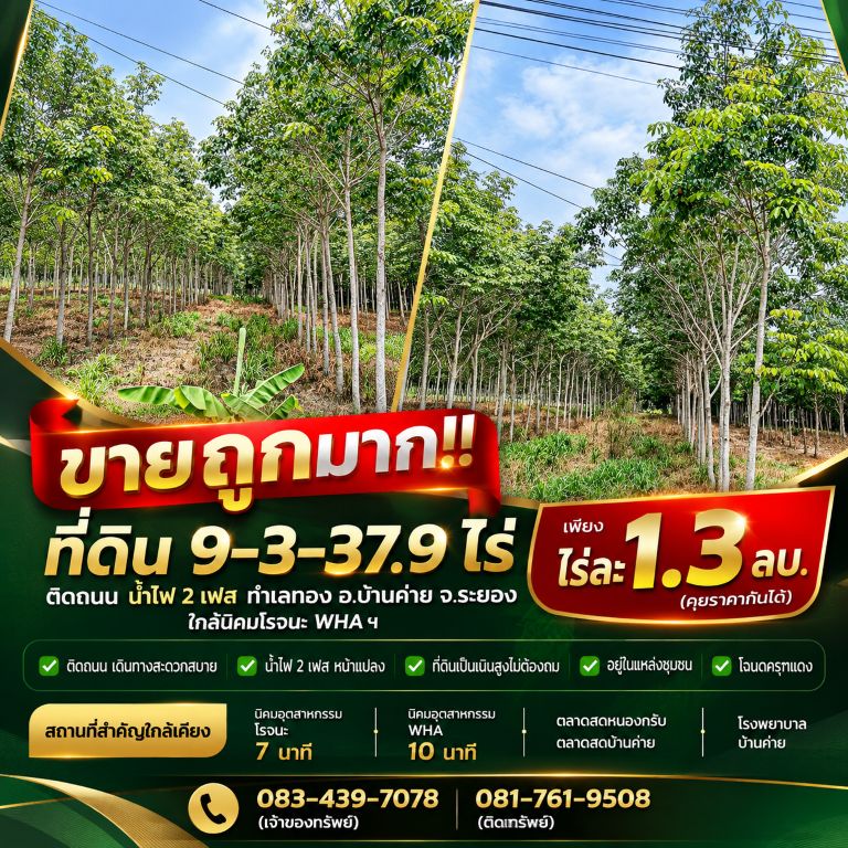 รูปภาพสินค้า