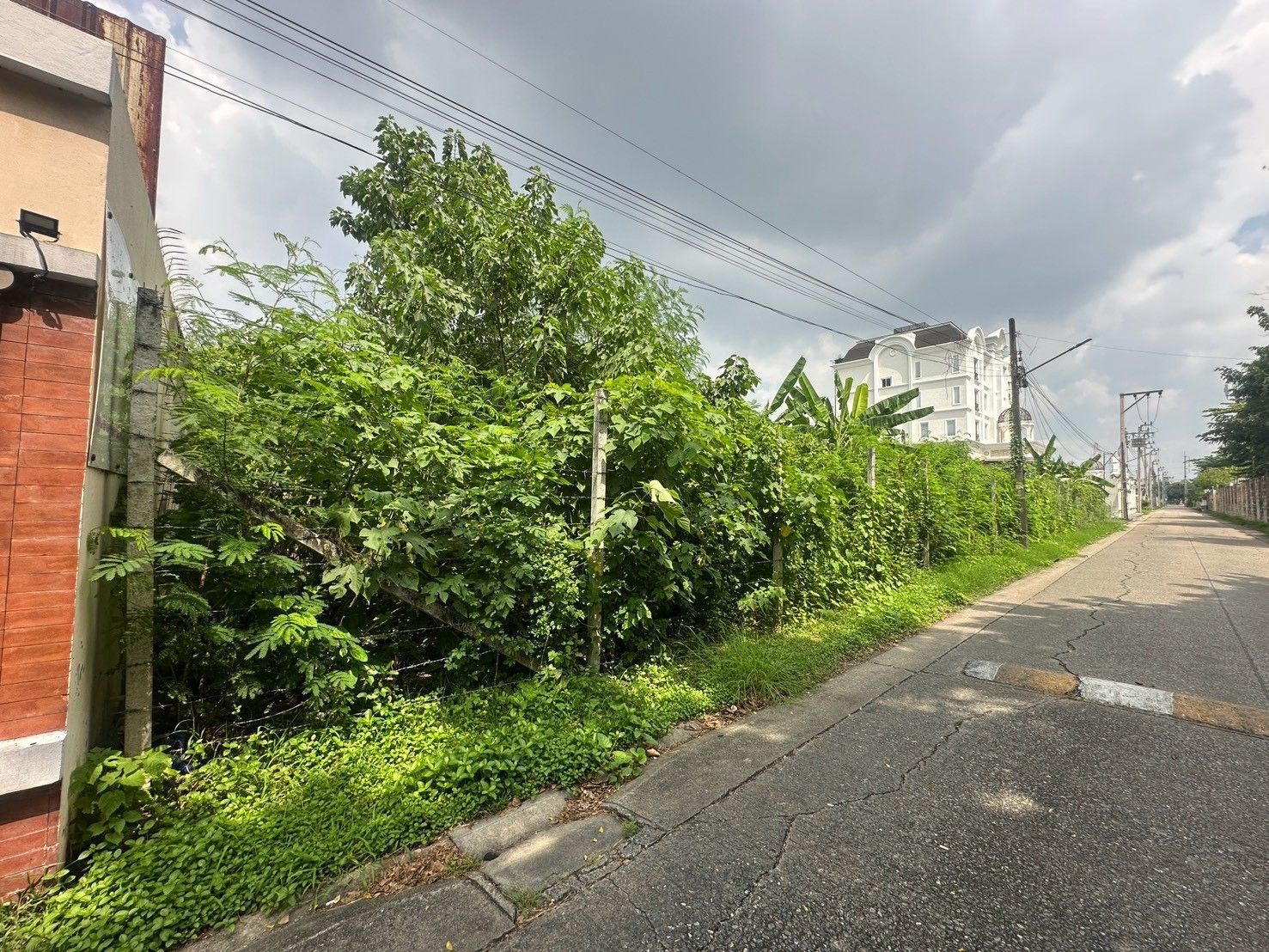 รูปภาพสินค้า
